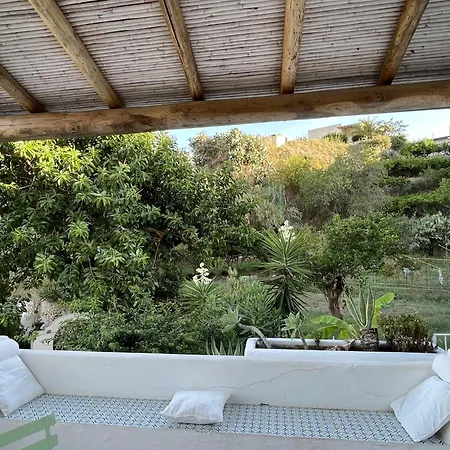 Con Vista