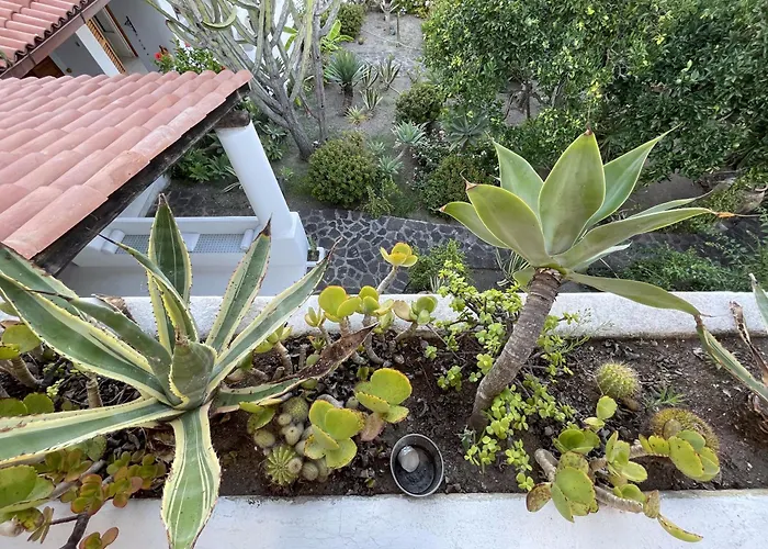 Con Vista Affittacamere *